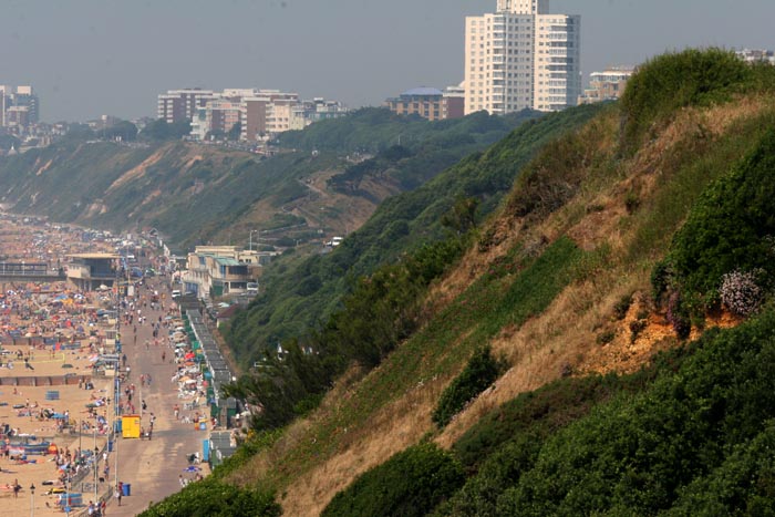 Habitat at Boscombe